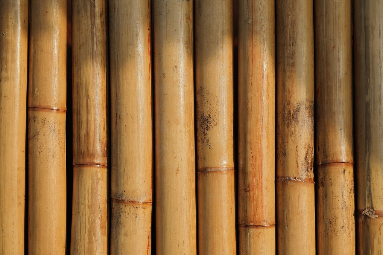 Пустой бамбук
